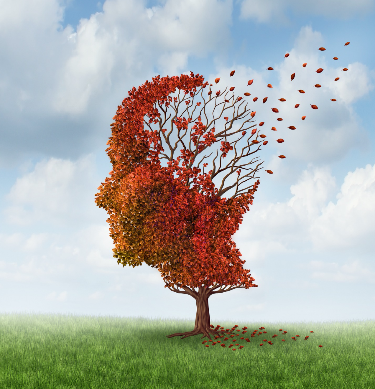 How Nootropics Can Prevent Alzheimers Disease